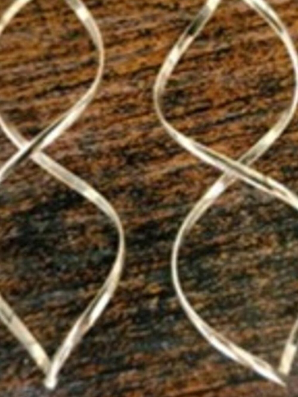 Fish Hook Earrings